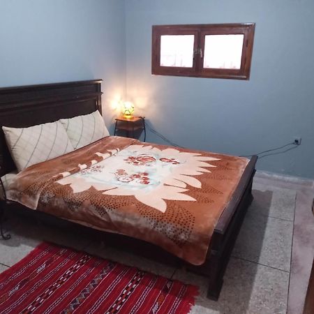 アル・ジャディーダ Palmtree Bed & Breakfast エクステリア 写真
